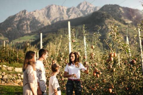 Gite VIP in Alto Adige