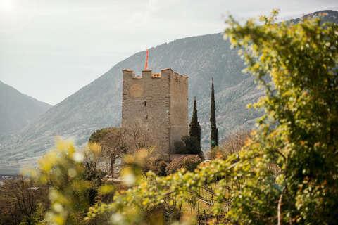 Trekking, MTB, bicicletta e golf