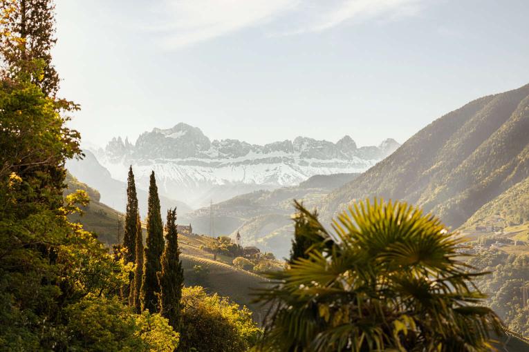 Mediterranean Flair in South Tyrol