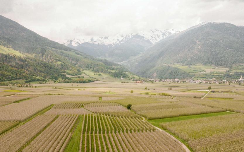 Convertible tours through South Tyrol