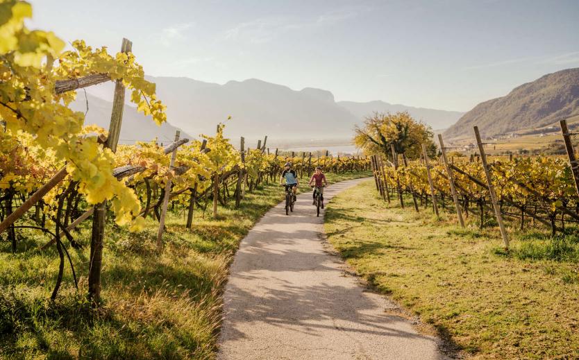 Holidays in South Tyrol – the first choice Holidays in South Tyrol – the first choice