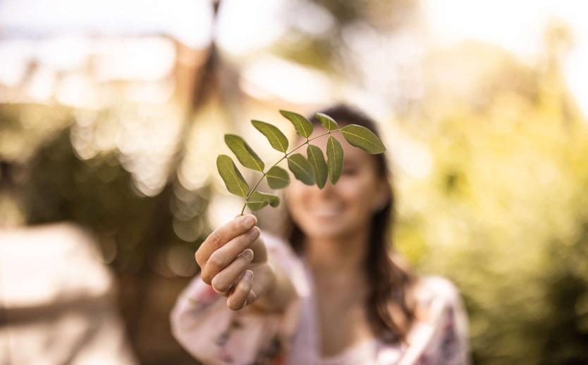 Plant-for-the-Planet Plant-for-the-Planet