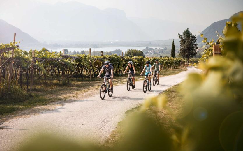 Vacanze in e-bike in Alto Adige