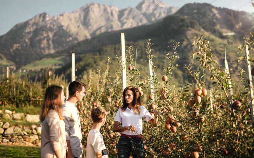 Ausflugsziele in Südtirol Ausflugsziele in Südtirol