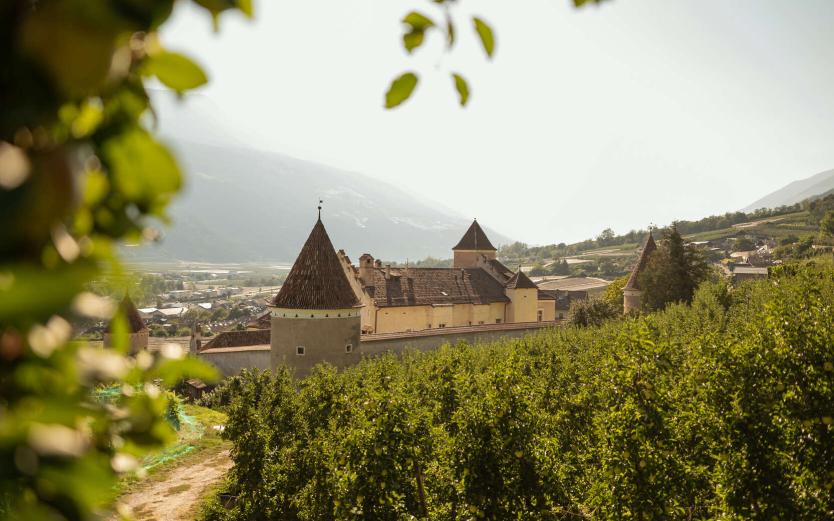 Die Dolce Vita Hotels im Vinschgau