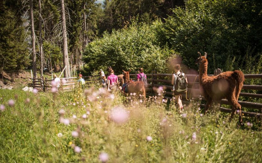 Die schönsten Ausflugsziele in Südtirol mit Kindern