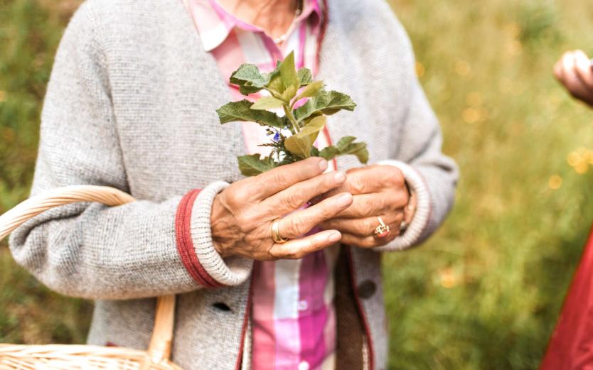 Sostenibilità ambientale ed ecologia