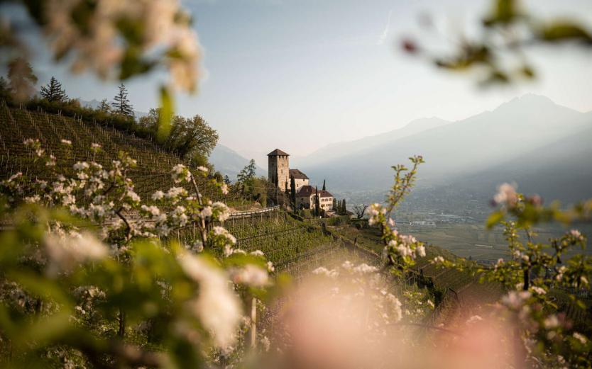 Vacanze in Alto Adige – the first choice Vacanze in Alto Adige – the first choice