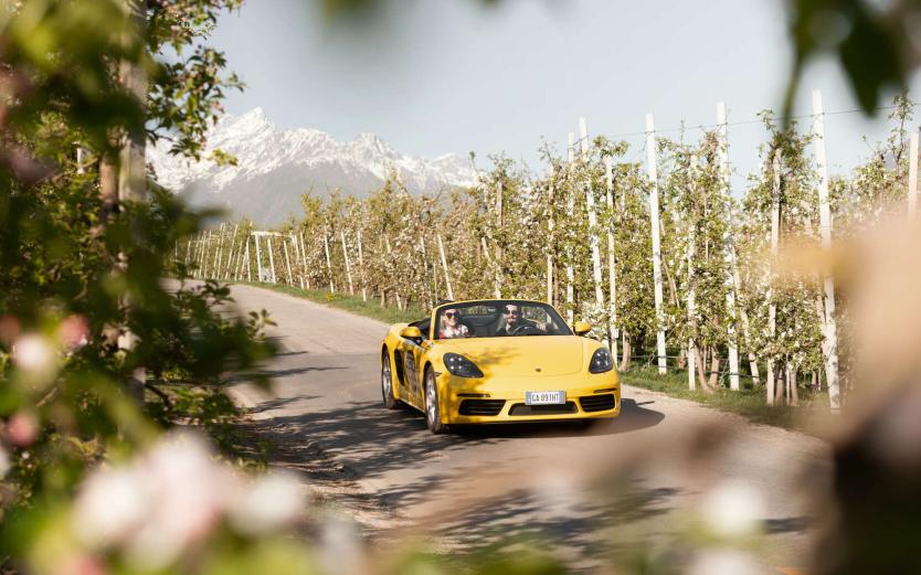 Vacanze in Alto Adige – the first choice Vacanze in Alto Adige – the first choice