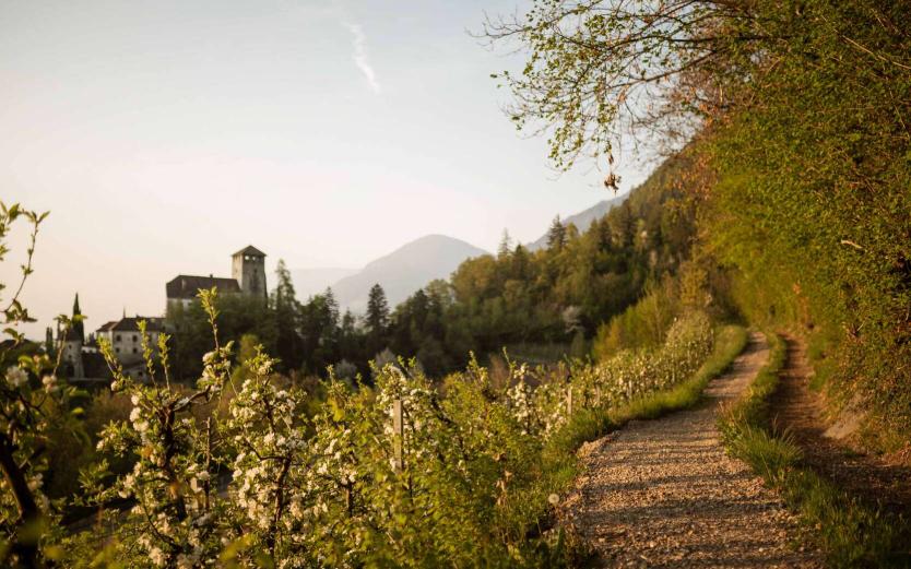 Wanderurlaub in Südtirol – Wo Natur auf Luxus trifft